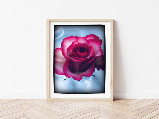 Rose I
