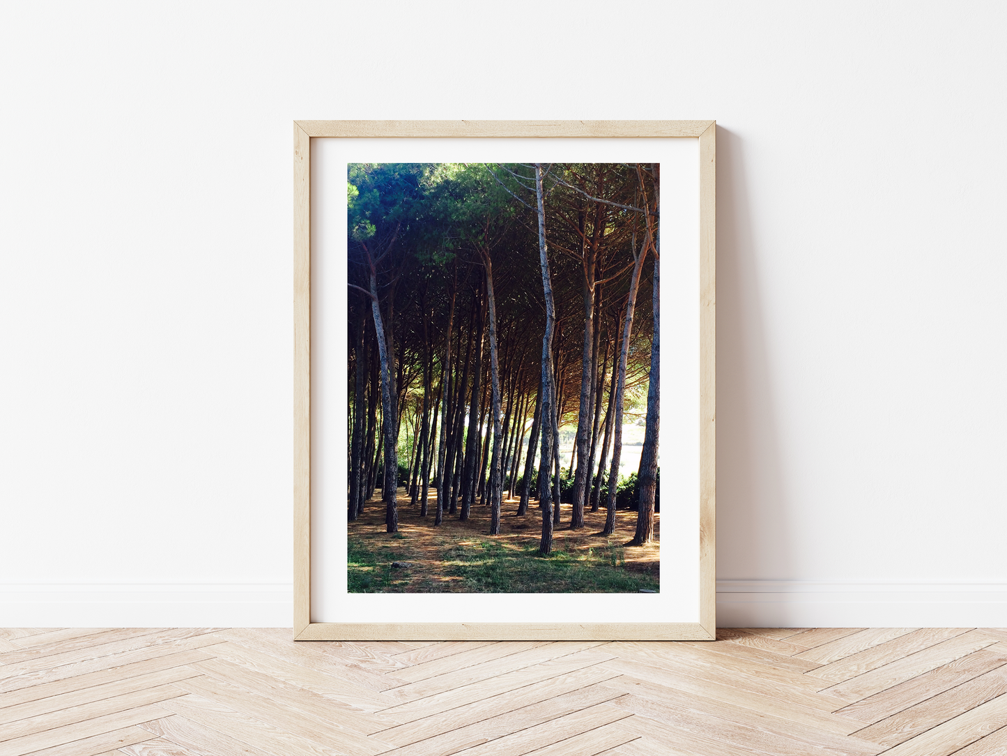 Wald Süd