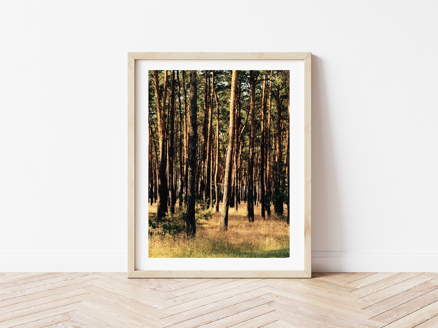 Wald Ost